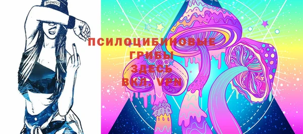 спиды Арсеньев