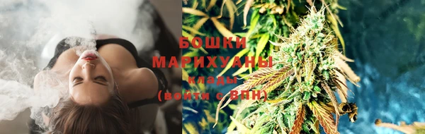 спиды Арсеньев
